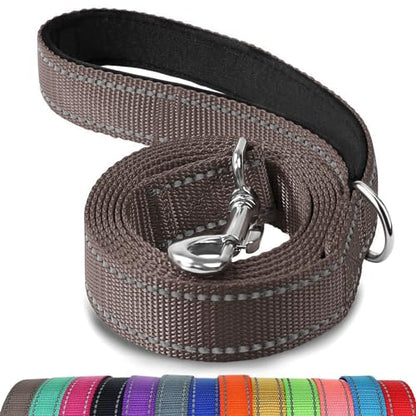Joytale Double-Sided Reflective Dog Leash, 4 FT, Padded Handle Nylon Heavy Duty Leashes for Small & Medium Dogs Walking, Brown - color: Brown, size: 4 ft Narrow