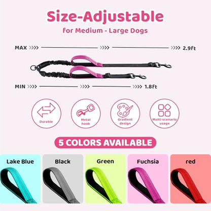 Double Dog Leash - No Tangle Splitter for Two Dogs, Coupler with Adjustable Long Lead Rope, Dual Control Handles, Retractable No Pull Bungee, Walk Train Small Medium Large 2 Pets (Fuchsia) - color: Fuchsia