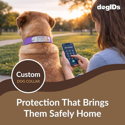 dogIDs Personalized Dog Collar – Custom Waterproof Soft-Grip Biothane with Laser-Engraved Nameplate, Durable & Odor-Resistant, USA Made | Bright Green, 1 in x 16 in (Fits Necks Size 14-18 in) - color: Bright Green, size: 1 in x 16 in (Fits Necks Size 14-1