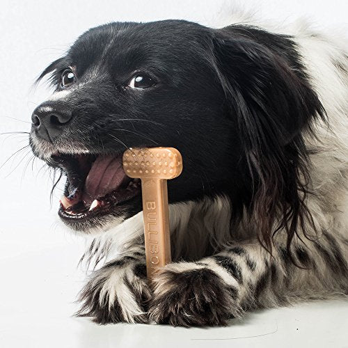 Bullibone Nylon Dog Chew Toy for Aggressive Chewers - Dental Hygiene Bone with Peanut Butter Flavor, Durable Tough Chew Toys for Small Dogs, Indestructible Dog Bone - Single - size: Small - Single