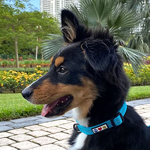 Pawtitas Recycled Dog Collar with Reflective Stitched Puppy Collar Made from Plastic Bottles Collected from Oceans Extra Small Teal Turquoise Wave - color: Recycled Teal, size: X-Small (Pack of 1)