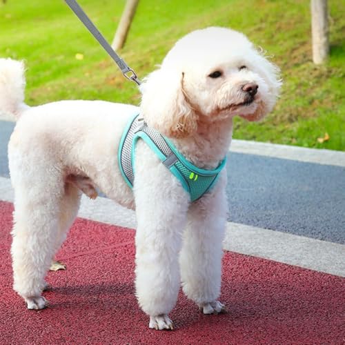 No-Pull Reflective Dog Harness Vest, Escape-Proof Padded Chest Strap for Large Cats Breathable Mesh & Quick Release for Small Dogs Cats - color: Green, size: XS