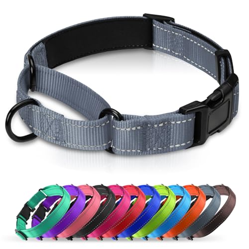 Martingale Collar for Dogs with Quick Release Buckle, Reflective Soft Padded & Escape Proof, Adjustable Nylon Dog Collars for Training & Daily Walking (Grey,XS) - color: Grey, size: XS:width 5/8"neck 10.5-12"