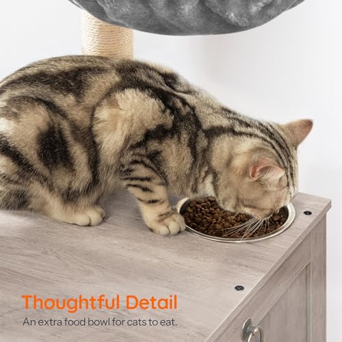 HOOBRO Cat Tree with Litter Box Enclosure, 44" Tall Wooden Cat Tower with Scratching Posts, Cat Hammock, Hidden Litter Box Furniture, All-in-One Indoor Cat Condo, Greige BG48MZ03 - color: Greige