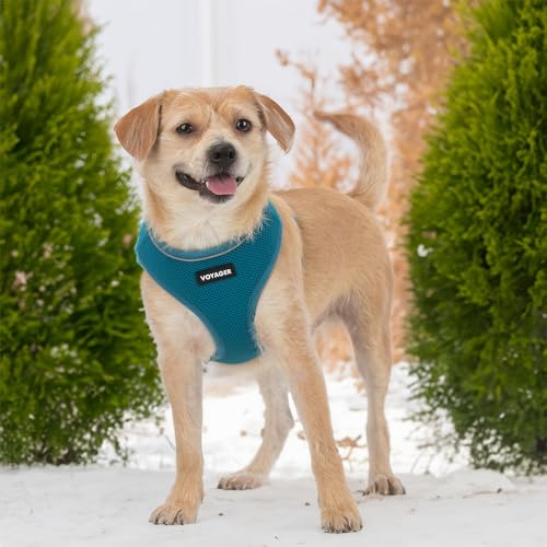 Voyager Aerolite Over the Head Dog Harness, No Pull Breathable Air Mesh Vest, Quick Dry with Reflective Stitching, Adjustable Escape Resistant Harness for Small Medium Large Dogs - Turquoise, Small - color: Turquoise, size: S