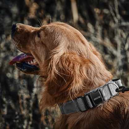 OneTigris Tough Dog Collars, Tactical Dog Collar with Handle, Milltary Adjustable Dog Collar with Heavy Duty Metal Buckle for Training (Large,Gray) - color: Gray, size: L