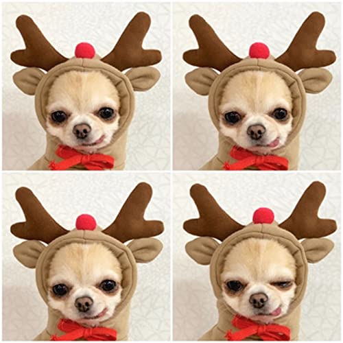 Warm Dog Winter Clothes Cute Fruit Dog Coat Hoodies Fleece Pet Dogs Costume Jacket for French Bulldog Chihuahua Ropa para Perro(Coffee,S) - color: Coffee, size: S