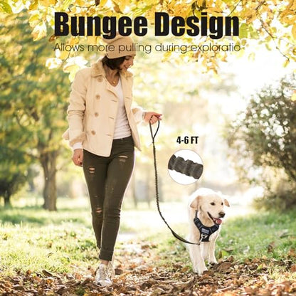 BUMBIN 6Ft Dog Leash, Bungee Dog Leash with 2 Handles, Heavy Duty Leashes for Medium Small Dogs, No Pull Shock Absorbing with Car Seat Belt for Training, Green - color: Green
