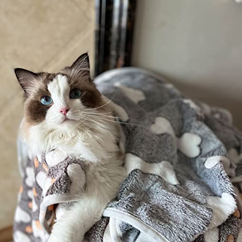 1 Pack 3 Puppy Blankets Super Soft Warm Sleep Mat Grey Cute Print Blanket Fluffy Fleece Pet Blanket Flannel Throw Dog Blankets for Small Dogs Puppy Dogs Fluffy Cats,Bone-Large(40"x30") - color: Bone/Series, size: Large(40"x30")