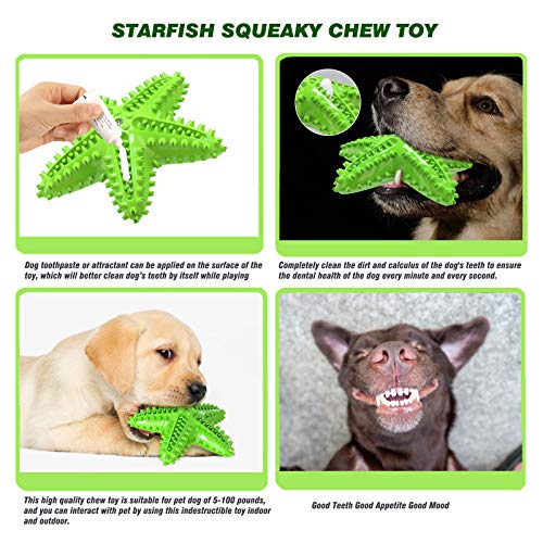 Squeaky Dog Toys - Starfish Natural Teeth Cleaning Toy for Small & Medium Dogs (Green) - color: Starfish Green