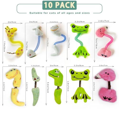 Interactive Cat Toys Set, Silvervine Chew Sticks and Cat Spring Toy, Indoor Catnip Toys for Exercise and Dental Care, for Adult Cats and Kittens (10 Packs) - color: 10 Packs