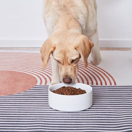 YINGFAN Dog Bowls Heavy Duty Ceramic Dog Bowls Non-Slip Ceramic Basic Bowl for Dogs (28 oz) - color: White