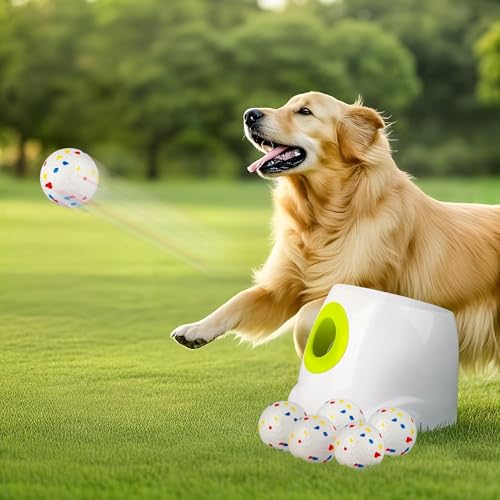 ALL FOR PAWS Automatic Ball Launcher for Dogs, Interactive Puppy Pet Balls Outdoor Thrower for Medium to Large Dogs, Ball Throwing Machine for Dogs, 6 ETPU Balls Included(2.5"), Rechargeable Battery - size: 2.5"ball launcher