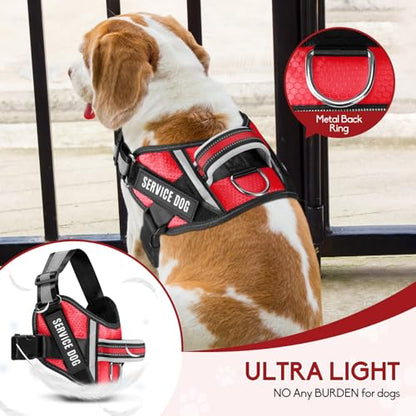 Service Dog Vest Harness and Leash Set, Animire in Training Dog Harness with 10 Dog Patches, Reflective Dog Leash with Soft Padded Handle for Small, Medium, Large, and Extra-Large Dogs (RED,XS) - color: Red, size: XS