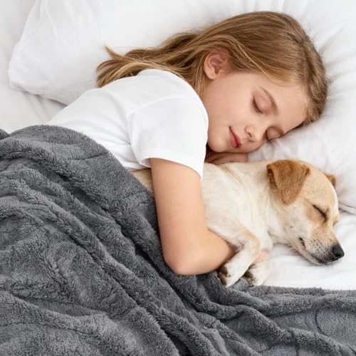 Waterproof Dog Blanket for Couch – Double Sided Washable Cat Puppy Blanket, Durable Furniture Protector for Dogs and Cats, Grey L(60×50)"