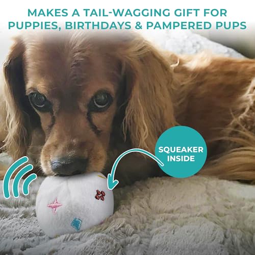 Haute Diggity Dog Chewy Vuiton Trunk Puzzle with 3 Plush Squeaky Dog Toys, Soft Durable Designer-Inspired Stuffed Puppy Chew Toys for Small & Medium Dogs, Machine-Washable (White) One Size - color: White Trunk, size: One Size