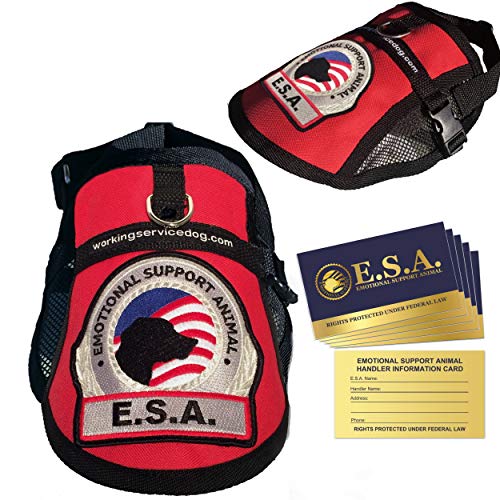 Premium Emotional Support Dog Vest | ESA Dog Vest | Mesh Cooling Panel | Emotional Support Dog Harness | Includes 5 Federal Law ESA Handout Cards (32" - 36" Girth, Red) - color: Red, size: Fits 32" - 36" Girth