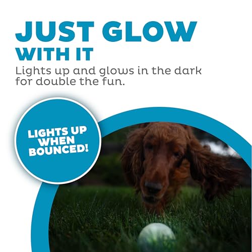 Outward Hound by Planet Dog Strobe Ball Glo Light Up LED Ball Dog Toy - color: Glow in the Dark Strobe Toy
