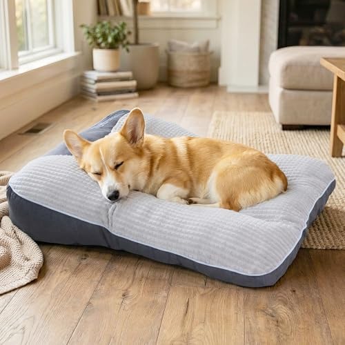 Orthopedic Dog Bed for Medium Dogs, Rectangle 32"x25"x7", Durable Warm Soft Plush Pet Couch Bed, High-Density Sponge Joint Relief, Calming Anti-Anxiety Dog Crate Pad with Non-Slip Bottom - size: M( 32"L x 25"W x 7"Th)