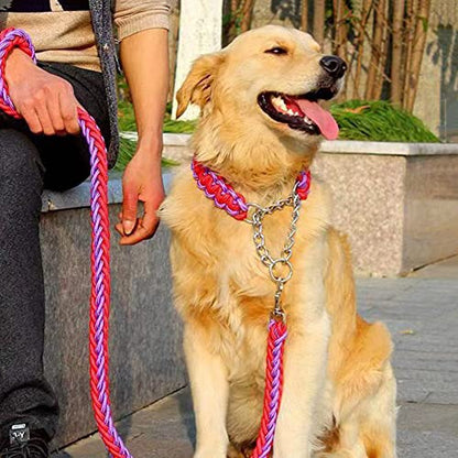 Love Dream Dog Collar and Leash Set, Heavy Duty Nylon Braided Rope Strong 4 FT Dog Leash and Martingale Training Collar for Small Medium Large Dogs Training and Walking (Red & Purple) - color: Red & Purple, size: Medium (Thick 1.5cm)