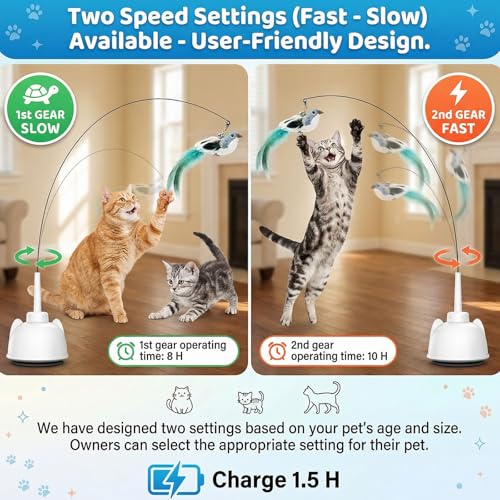 2 in 1 Electric Cat Wand Toy Interactive Cat Toys for Indoor Cats 360° Flying Bird Cat Toy, 2-Speed Fly Cat Chase Toy Automatic Cats Toys with Self ON/Off Suction Cup Electric Cat Teaser Wand - style: Electric Wand-White