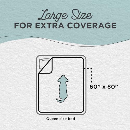 Best Friends by Sheri Calming Shag Cat and Dog Blanket with Non-Skid, Water Resistant Base, Machine Washable, Frost Gray, 60" x 80" - color: Frost, size: 60" x 80"
