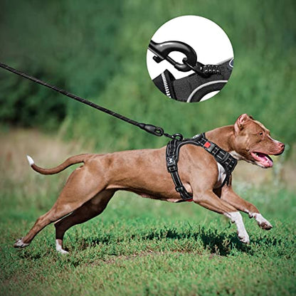 PoyPet Dog Harness and Leash Combo, Escape Proof No Pull Vest Harness, with 5 Feet Leash, Reflective Adjustable Soft Padded Pet Harness with Handle for Small to Large Dogs(Black,S) - color: Black, size: S