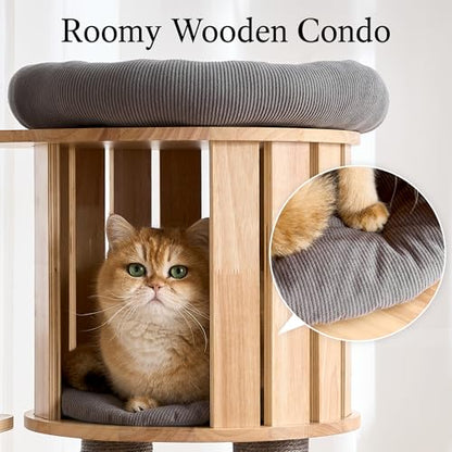797Audio Wood Modern Cat Tree, 61.5" Tall Cat Tower with Sisal Scratching Posts, Cat Condo, Capsule and Ladder, Solid Wooden Aesthetic Multi-Level Cat Climbing Tree for Large Adult Indoor Cats-Gray - color: 62 Inch-Gray