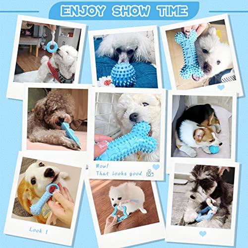Petcare 6 Pack Puppy Chew Toys - Blue, Soft Rubber Rope & Bone Ball Teething Toys for Small Dogs & Puppies, Including Yorkie - color: Blue