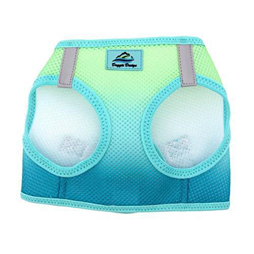 American River Dog Harness Ombre Collection (XS, Aruba Blue) - color: Aruba Blue, size: X-Small