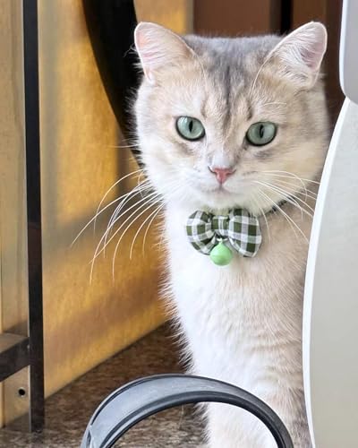 2 Pack Soft Breakaway Safety Cat Collar，Kitten Collar with Bell and Bow Tie,Adjustable Breakaway Cotton Collar for Kitty and Puppy (Plaid-Yellow Green) - color: Plaid-Yellow Green