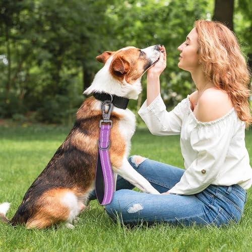 12 Inch Short Training Dog Leash with Padded Handle for Large Dogs, Lead with Locking Carabiner Clip, Strong Training Leash (Purple,12 Inch) - color: Purple