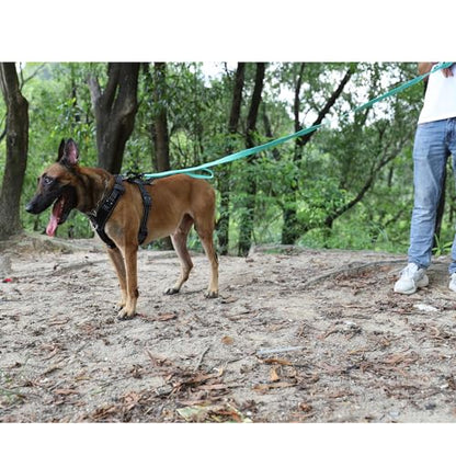 ICEFANG Relfective Dog Leash for Medium Large Dogs,K9 Training Walking Lead with Double Handle,Heavy Duty Auto-Lock Metal Clasp (6ft, Teal) - color: Teal, size: 6 ft (No bungee)