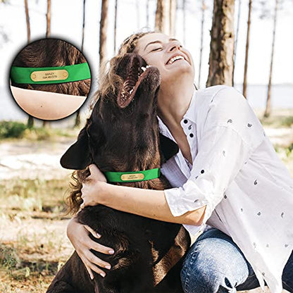 Regal Dog Products Small Light Green with Custom Engraved Waterproof Dog Collar and Leash Set | Waterproof Dog Collar with Double Buckle & D Ring - 5'ft Leash | Matching Dog Collar and Leash for Dogs - color: Light Green, size: Small Collar with leash