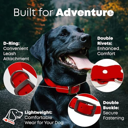 Regal Dog Products Medium Red with Custom Engraved Waterproof Dog Collar and Leash Set | Waterproof Dog Collar with Double Buckle & D Ring - 5'ft Leash | Matching Dog Collar and Leash for Dogs - color: Red, size: Medium Collar with leash
