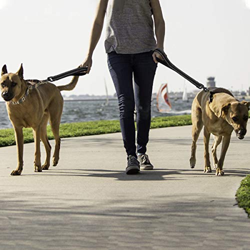 Cymiler Nylon Short Traffic Leash with Padded Handle, 3 Sizes - Small to Large, Reflective Threads - Black - color: Wide-Black
