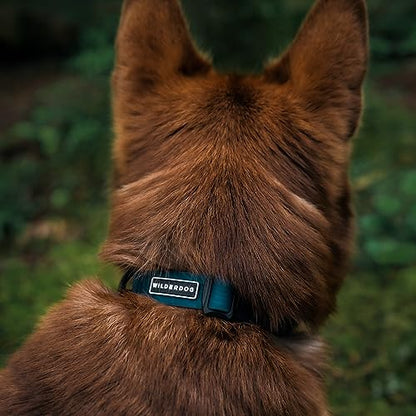 Wilderdog Waterproof Dog Collar - Repels Water & Dirt - Small 11"-15" - Pacific Blue - color: Pacific Blue, size: Small