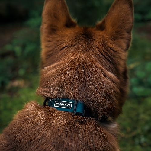 Wilderdog Waterproof Dog Collar - Repels Water & Dirt - Medium 13"-18" - Pacific Blue - color: Pacific Blue, size: Medium