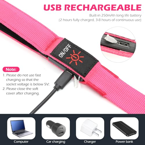 LED Dog Leash with Light - 4 Feet, Rechargeable, Nylon Webbing, Glow Safety Standard Dog Leash (Pink) - color: Pink, size: 4 Feet
