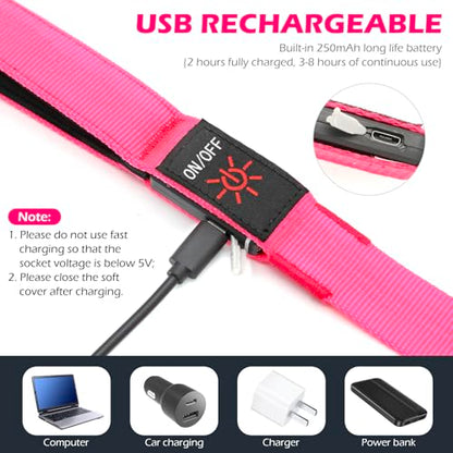 LED Dog Leash with Light - 4 Feet, Rechargeable, Nylon Webbing, Glow Safety Standard Dog Leash (Pink) - color: Pink, size: 4 Feet