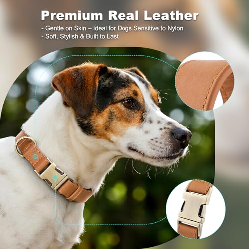 Plutus Pet Genuine Leather Dog Collar – Adjustable Pet Collar with Quick Release Metal Buckle, Soft Real Leather for Small Medium Large Dogs, Heavy Duty & Skin-Friendly (Light Brown, S) - color: Light Brown, size: S