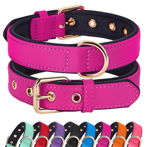 Didog Soft Padded Dog Collars for Medium Dogs, Lightweight and Breathable Dog Collar with Metal Buckle, Rose Purple, L - color: Rose Purple, size: L: Fit 13-17" Neck