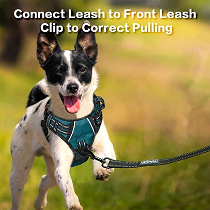 PoyPet No Pull Dog Harness, No Choke Front Clip Reflective Dog Vest with Soft Padded Vertical Handle, 3 Leash Attachments for Small Medium Large Dogs (Tumalo Teal,XL) - color: Tumalo Teal, size: Extra Large