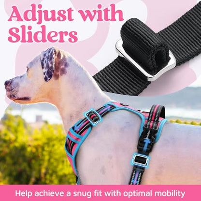 rabbitgoo Dog Harness Small Sized, No Pull Dog Vest with 3 Buckles, Adjustable Soft Padded Pet Harness with Easy Control Handle and Reflective Strips, Rose Pink & Blue, S - color: Rose Pink & Blue, size: Small