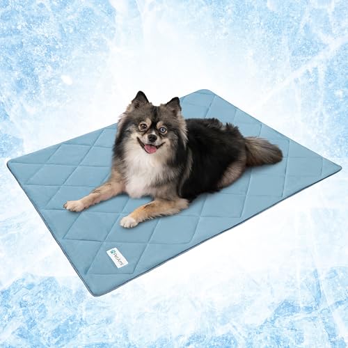 PetAmi Premium Cooling Dog Blanket | Lightweight Fluffy Pet Throw Blanket Bed Cover for Dogs, Cat, Puppies | Pet Blanket Furniture Protector Couch Sofa | Reversible Fuzzy Cozy | 24x32, Dusty Blue - color: Dusty Blue, size: Small (24x32)