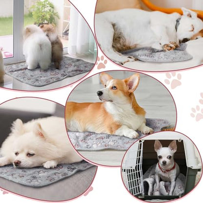 Panelee 4 Pcs Waterproof Dog Puppy Pee Pads Soft Cat Blankets Dog Sleep Mat Absorbent Pet Blanket Paw Pattern Whelping Warm Fleece Puppy Potty Training Pads Reusable (Gray,24 x 16 Inch) - color: Gray