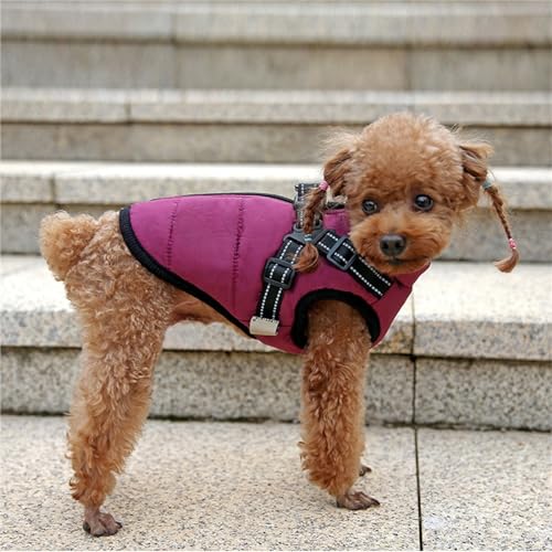 Dog Winter Coat, Waterproof Winter Jacket with Built-in Harness, Windproof Dog Warm Coats for Dogs Cats (Blue,Large) - color: Blue, size: Large