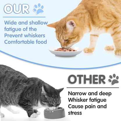 6 Pack Cat Food Bowl, Ceramic Cat Bowls, Anti Whisker Fatigue Cats Bowl Set,5.5 Inches Shallow Wide Kitten Plates for Food and Water (White-C) - color: White