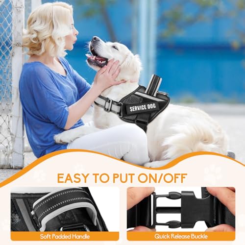 Service Dog Vest Harness and Leash Set, Animire in Training Dog Harness with 10 Dog Patches, Reflective Dog Leash with Soft Padded Handle for Small, Medium, Large, and Extra-Large Dogs (Black, XS) - color: Black, size: XS