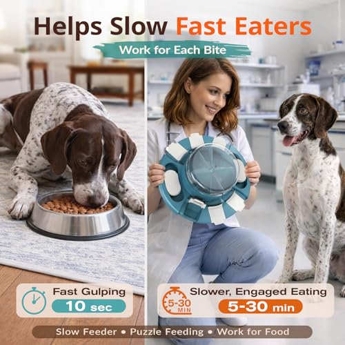 Dog Puzzle Toy, 2 Levels of Challenge, Push-to-Release Treat Dispenser Slow Feeder & Mental Stimulation Enrichment Toy for Small Medium Large Dogs - color: Matisse green